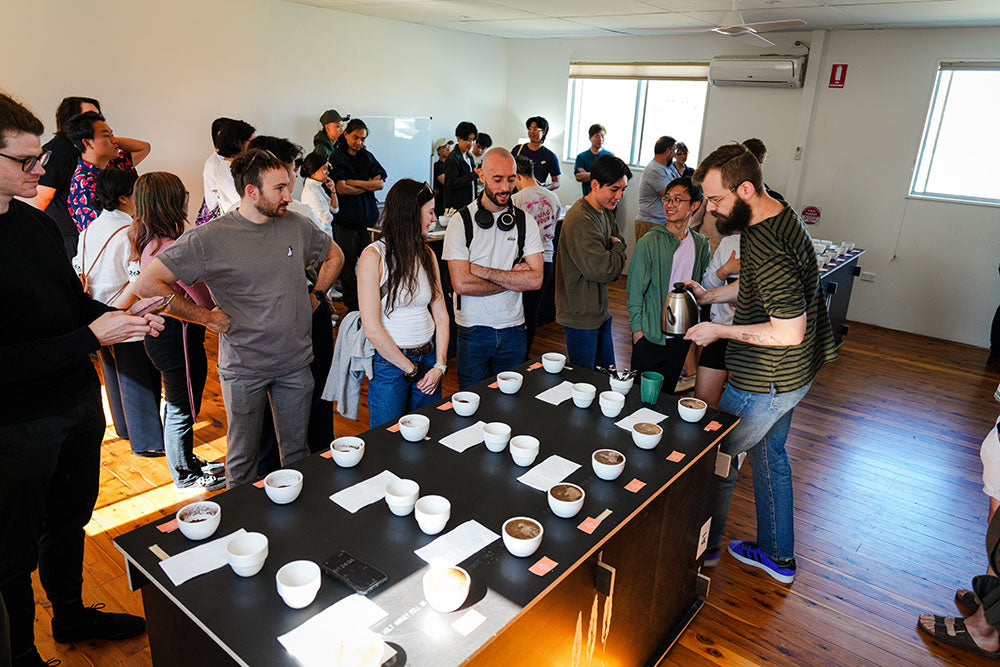 Best of Panama Cupping