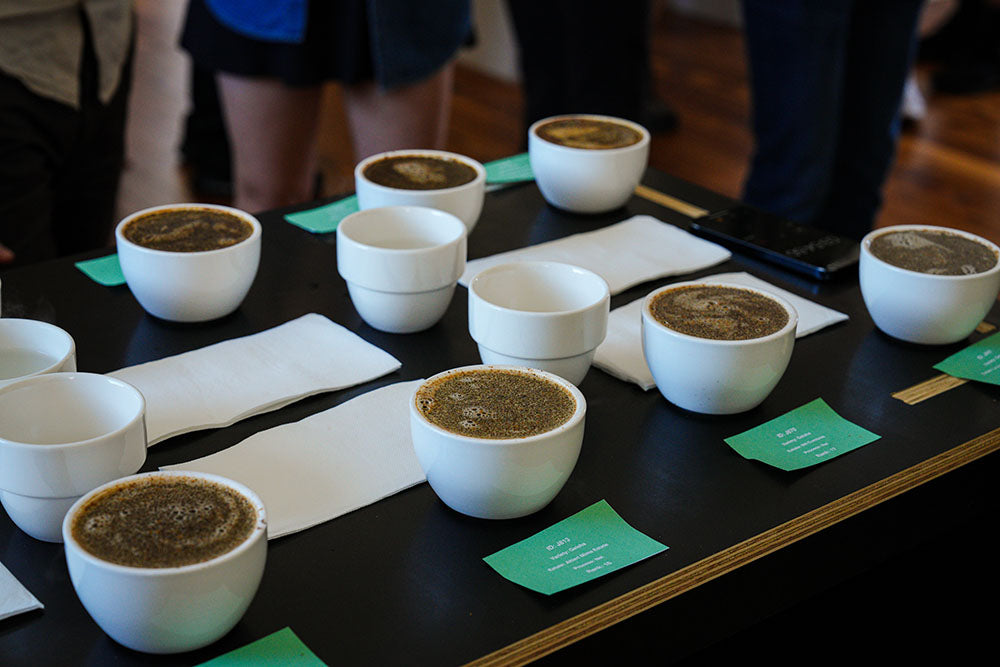 Best of Panama Cupping