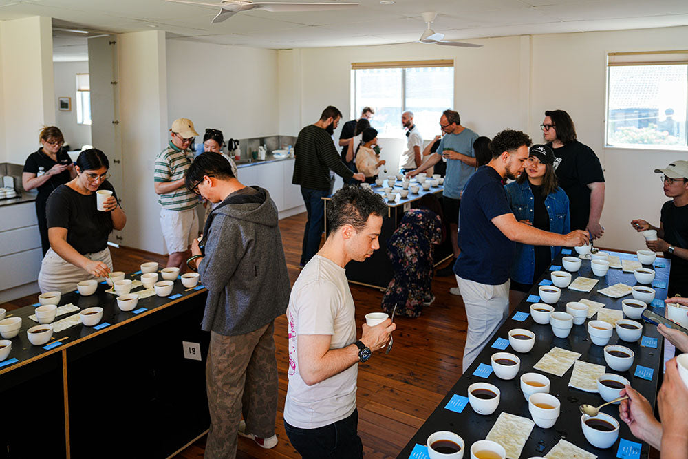 Best of Panama Cupping