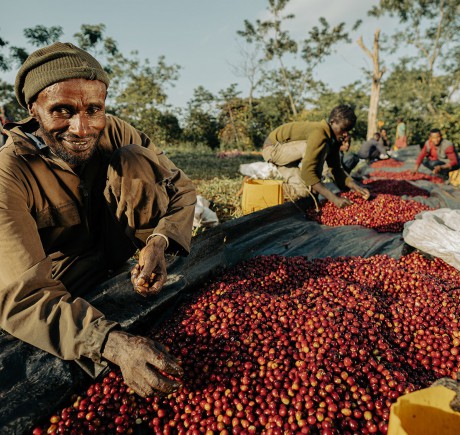 ETHIOPIA coffee beans