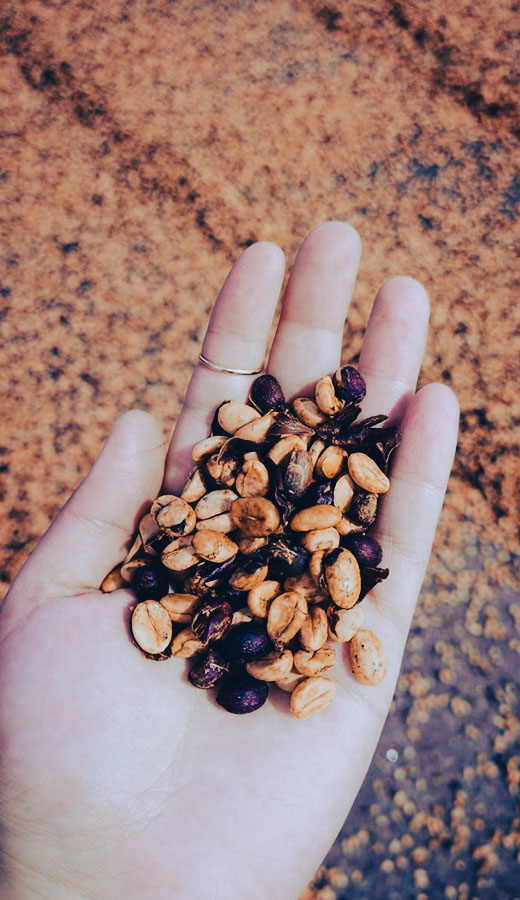 COLOMBIA coffee beans